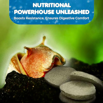 SunGrow Spirulina Protein Wafers for Shrimps, 1.75 oz Nutritional Snack, High-Protein Food for Freshwater Shrimp, Ideal for Betta Fish Supplies, Aquarium Salt Setups, Nano Tanks & Bottom Feeders