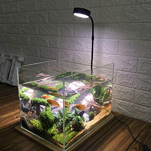 LED Aquarium Light 360 Degree Full Spectrum LED Light with Bamboo Board 10W Nano Fish Tank Light USB Powered Flat Nano Aquarium Light Bett a Fish Tank Light for Plant Growth - size: 10w l / 10.62x11.22inch