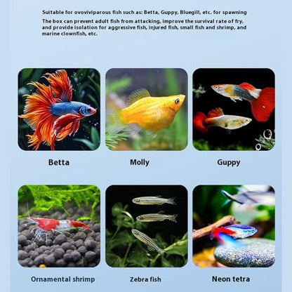 Floating Fish Breeding Box Net Design Safe Fish Habitat Isolation Tanks for Fry Shrimp Easy Setups Compacts - color: Blue, size: S