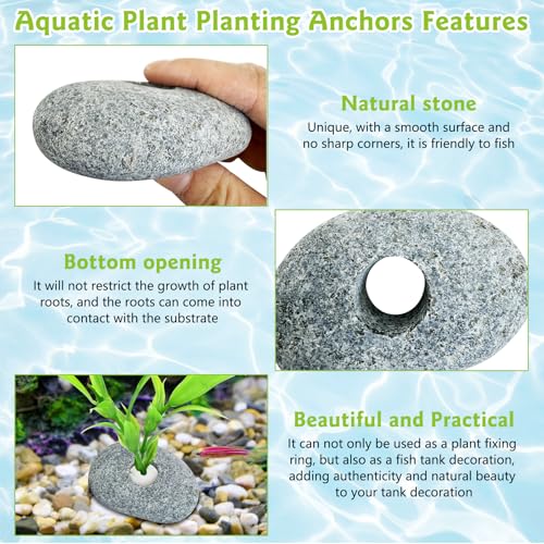 Drilled Pebble Aquatic Plant Anchors Water Plants Fixed Ring Natural River Stone Plant Weights for Fish Tank Aquarium Decorations Landscape Stones(Aperture: 0.8" 1hole 6pcs)