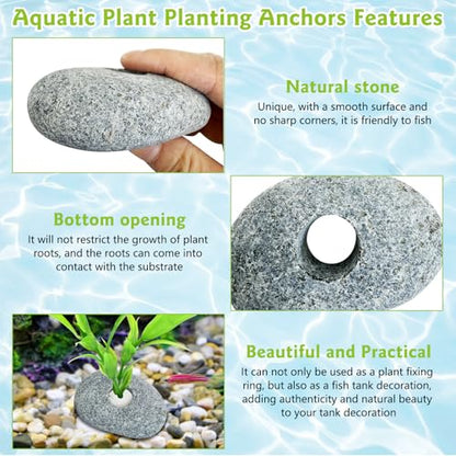 Drilled Pebble Aquatic Plant Anchors Water Plants Fixed Ring Natural River Stone Plant Weights for Fish Tank Aquarium Decorations Landscape Stones(Aperture: 0.8" 1hole 6pcs)