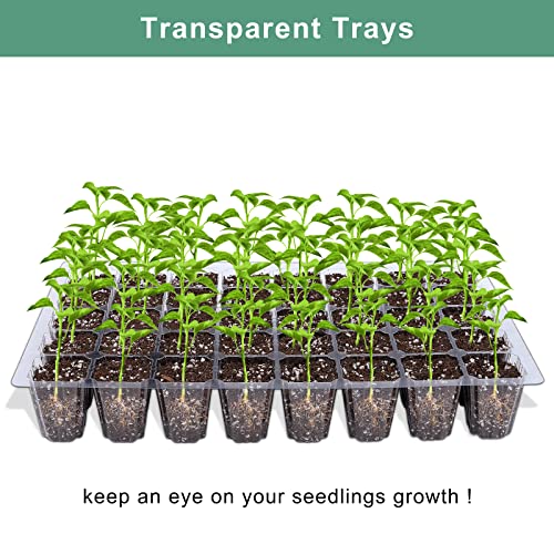 Elcoho 6 Pack Seed Starter Tray Kit 40 Cells Seedling Trays with Humidity Dome and Base Mini Propagator Plant Nursery Pots Total 240 Cells for Greenhouse Plants Growing, Green - color: Green