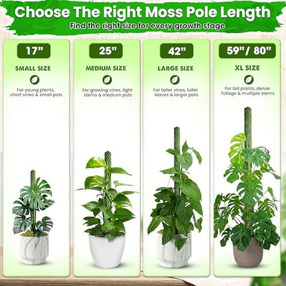 2 Pack 25’’ Mesh Moss Pole for Climbing Plants, Natural Moss Pole Monstera Plant Support, Real Moss Poles for Plants Indoor, Moss Stick for House Plants, Moss Stakes for Climbing Plants