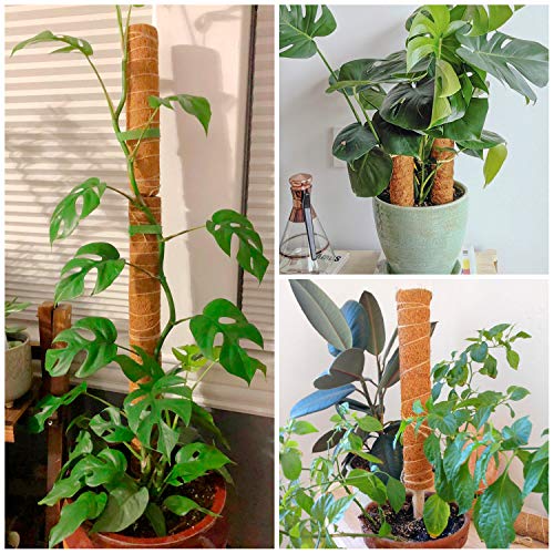 2 Pcs 12 Inches Coir Moss Poles for Climbing Plants with 4 Pcs Adjustable Plant Twist Ties - Coir Moss Totem Stick for Creepers Plant Support Extension, Climbing Indoor Plants(Total 20 Inch)
