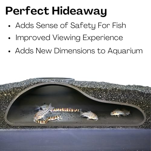 Aquarium Underground Tunnel Cave Natural Curve | Viewing Fish & Shrimp Under Gravel Tunnel | Fish Tank Decor Decoration Hideout Perfect for Corydora Catfish, Kuhli Loach, Pleco