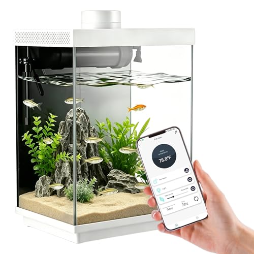 5 Gallon Smart Aquarium Kit, APP Control, Auto Feeder, LED Light, Self-Cleaning Filter, Glass Desktop Tank for Betta/Tetra/Goldfish, Dual-Tank Feeding Supported, Divider Not Included