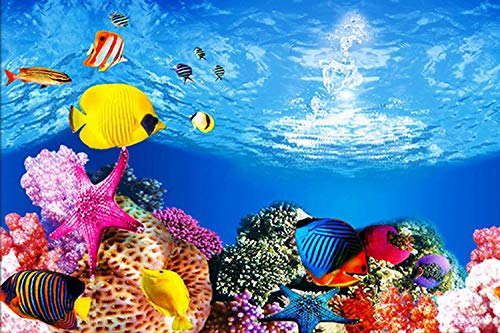 ELEBOX Aquarium Background Poster, Undersea Water Plants Sea Anemone Coral Aquarium Decor Background Double Sides Fish Tank Background Sticker Decorations 10 Gallon 20 Gallon Tank 11.8" x 24.4" - color: Sea World, size: H:11.8" x L:24.4"