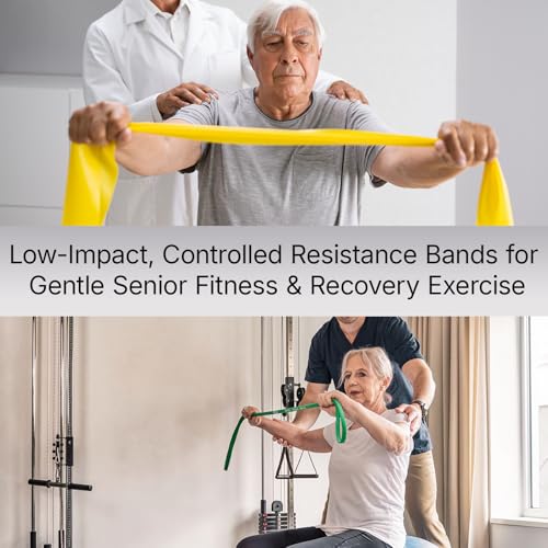 Exercise Bands，Set of 6 Resistance Bands for Working Out,Pull Up Bands Set,at Home Workout Equipment,Instruction Guide and Carry Bag Included - color: 5set（Blue+green+purple+yellow+red+4pcs Loop Bands）
