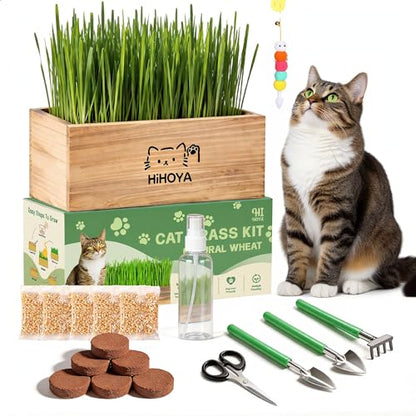 Cat Grass Kit for Indoor Cats - 5 Harvests Cat grass Growing Kit with Wooden Planter, 5 Seed Packets, 6 Soil Disks, Spray Bottle, Tools & Scissors - Natural Hairball Control for Nipping & Nibbling