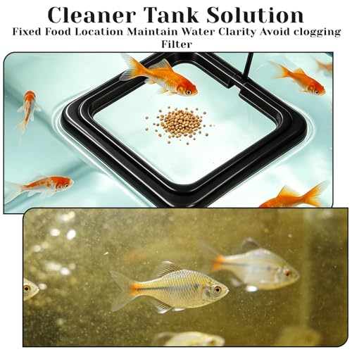4 Pcs Fish Feeding Ring, Round & Square Floating Aquarium Feeding Ring with Suction Cup, Easy to Use for Betta, Goldfish, Guppy, Turtle & Small Fish (Black)