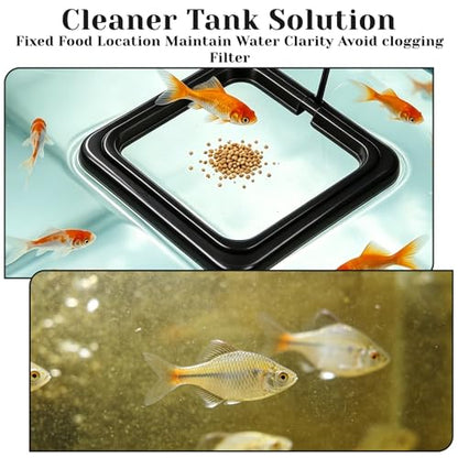 4 Pcs Fish Feeding Ring, Round & Square Floating Aquarium Feeding Ring with Suction Cup, Easy to Use for Betta, Goldfish, Guppy, Turtle & Small Fish (Black)