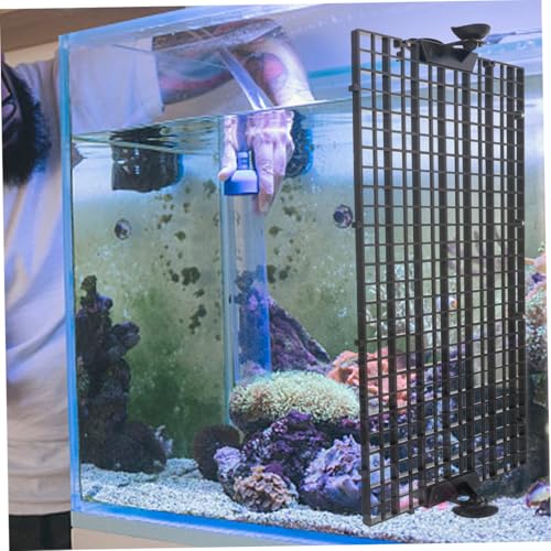 YARNOW 1set Fish Tank Divider High-Transparency Aquarium Isolation Board Cups Partition for Betta Fish Tank Separation for Coexisting Species Cups