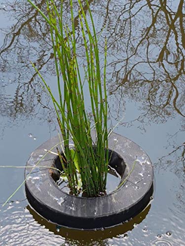 PondH2o 10" Round Floating Aquatic Water Garden Pond Planter Baskets, 2 Pack, Floatable Aquatic Water Garden Pond Plant Flower Islands for Ponds and Water Features | Value Multi-Pack
