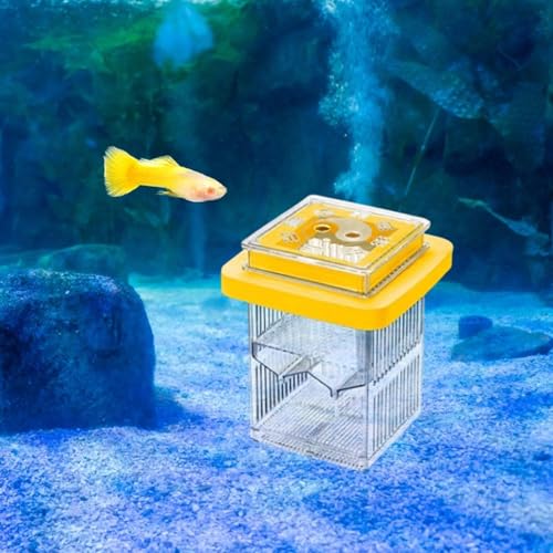 Guppy Breeder Box Acclimation Case Detachable Clear Frame Aquarium Supplies Fish Tank Divider Fishtank Breeder for Home Use, Yellow