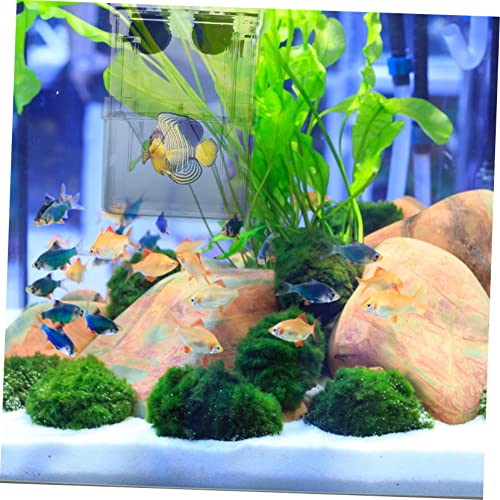 POPETPOP 3pcs Fish Breeding Box Double Isolation Aquarium Box for Small Fish Fry Shrimp Suction Cup Design for Easy Installation Safe Separation