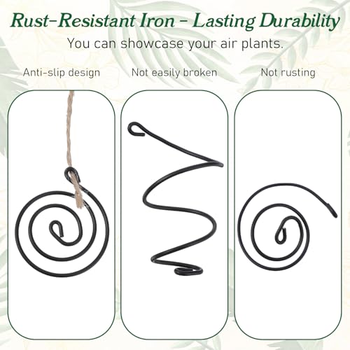6 Pack Air Plants Live Holders Hanging Air Plant Holder Adjustable Rust-Resistant Iron Rings With Jute Ropes Soilless Stand Display Container For Tillandsia Succulents Home Office Decor Black