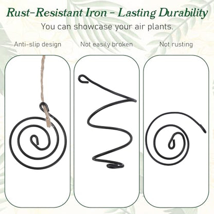 6 Pack Air Plants Live Holders Hanging Air Plant Holder Adjustable Rust-Resistant Iron Rings With Jute Ropes Soilless Stand Display Container For Tillandsia Succulents Home Office Decor Black