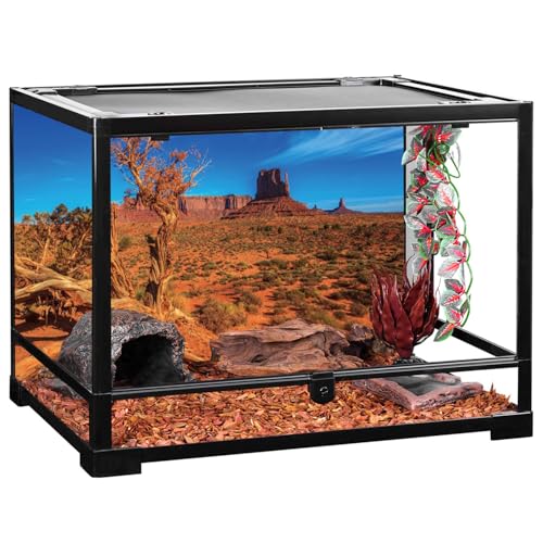 AWERT 48x24 inches Blue Sky Oasis Cactus Sun and Desert Terrarium Background Orange Reptile Habitat Background