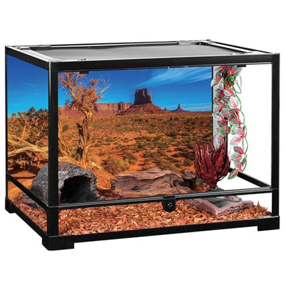 AWERT 48x24 inches Blue Sky Oasis Cactus Sun and Desert Terrarium Background Orange Reptile Habitat Background