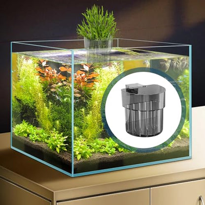 Plances for Pisher Tank Assembled Aquarium | Plant with Hook | Fish with Water Hooks | Water Grow Decoration