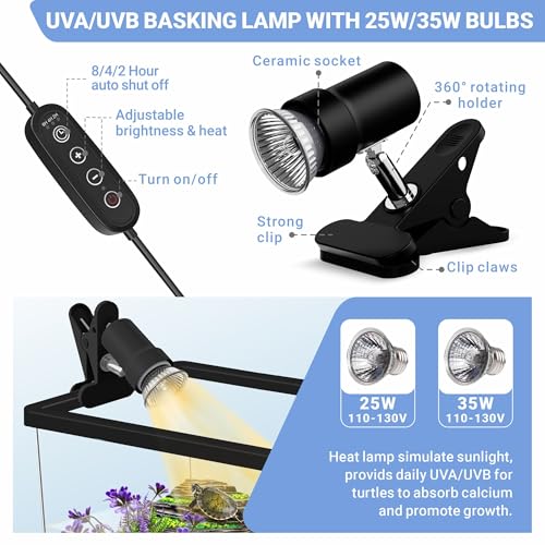 GOZILLA Mini Turtle Tank Kit with Adjustable Lamp, Upgrade PC Hermit Crab Tank, Small Turtle Starter Kit with Lid, Resin Hideout for Baby Turtles and Crabs (11.8×7.24×7.1''/Black Kit) - color: Black-HIll