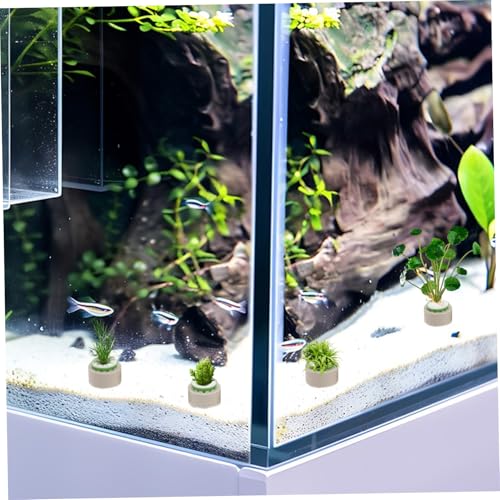 POPETPOP 9pcs Floating Fixed Rings for Aquarium Plants Durable Decorations for Fish Tank Enhanced Filtration and Growth Support