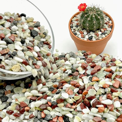 Gravel for Plants, 3/8 Inch Pebbles Polished Decorative Aquarium Gravel - Small River Rocks for Fish Tank, Succulent, Vase, Bird Bath, Garden Landscaping and Top Dressing-3LB
