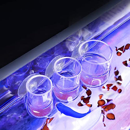 Acrylic Feeding Jar Fish Feeder Brine Shrimp Eggs Red Worms Food for Fish Feeding Bowl with Suction-Cup - size: Medium