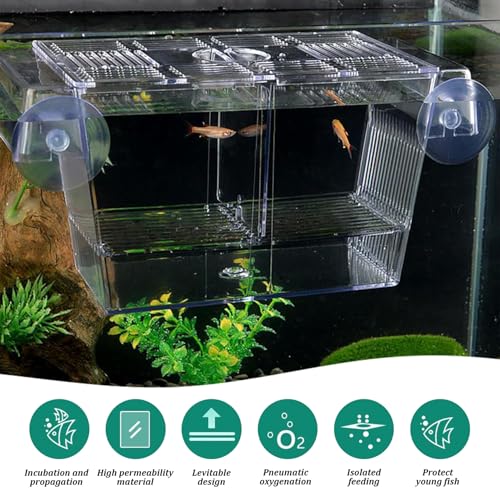 Fish Breeding Box, Transparent Insulation Breeder Box for Fish Tank, Detachable Plastic for Babies Shrimp (5x3x3 inch)