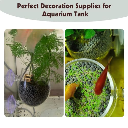 6 Pieces Aquarium Plant Holder Pot Aquarium Decor Crystal Glass Aquatic Plant Cup with Suction Cups Aquarium Fish Tank Decorations
