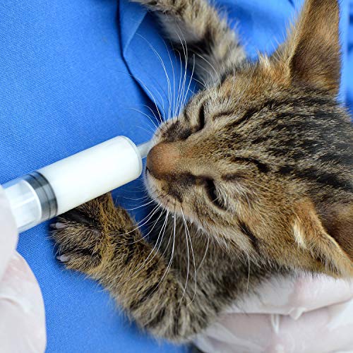 Boao 10 Pack Plastic Syringe Liquid Measuring Syringes Without Needle for Epoxy Resin, Craft, Scientific Labs, Feeding Pets Animals, Oil or Glue Applicator (60 ML) - size: 60 ML