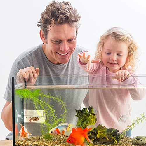 balacoo Aquarium Feeding Plate with Suction Cup 2.55 Inch Square Transparent Fish Tank Feeder Bowl Adjustable Height Shrimp Feeder for Freshwater Fish Easy to Clean 4 Pack