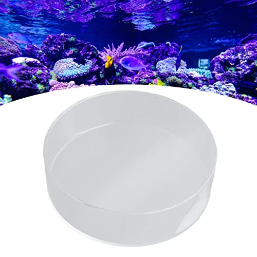Observe Lens Transparent Acrylic Fish Tank Cylinder Magnifier, Aquarium Viewing Tool with Clear Optics for Top - Down Observation and Underwater Photography