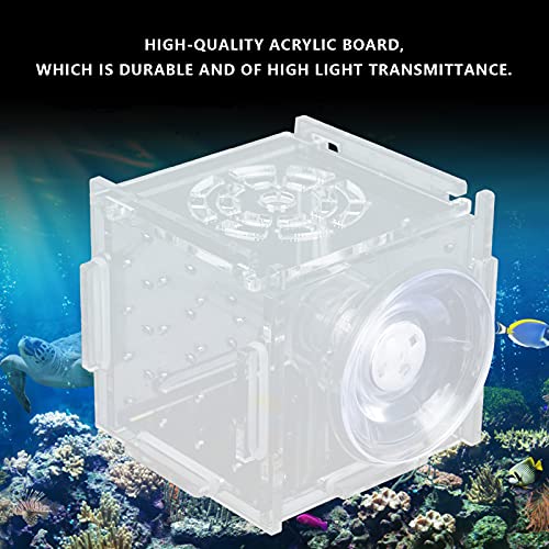 Fish Isolation Box | Acrylic Breeding Hatchery for Young Fishes/Shrimp | 1.5mm Hole Size with Feeding Port & Suction Cup | 6 Panels + 8 Silicone Rings (Single-Cable mini 6 * 6 * 6)
