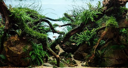 48x24 inches Aquarium Fabric Background Grass Leaves with Stone Aquarium Backdrop River Bed & Lake Aquatic Plant Fish Tank Aquatic Plants Background