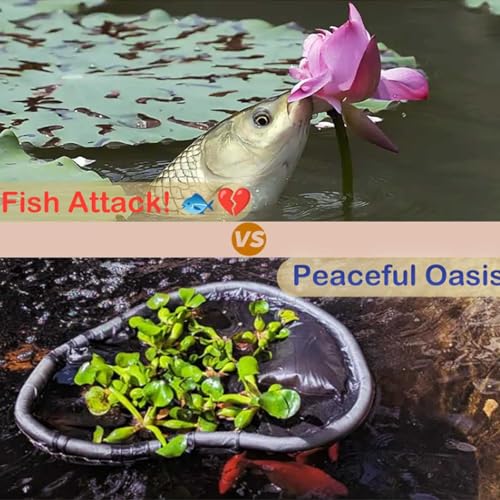Round Pond Plant Floating Plant, Fish Pond Floating Planters 18/24/32/36in Floating Island Plant Protector Round Floating Plant Ring in Ponds and Garden Water Features Pond Decor - size: 61CM/24INCH