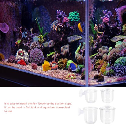 ULTECHNOVO 4pcs Glass Fish Feeder Cups with Suction Cups, Aquarium Feeding Dish Set for Betta and Shrimp Tanks, Small and Large Sizes, Aquarium Accessory for Controlled Fish Food Dispensing