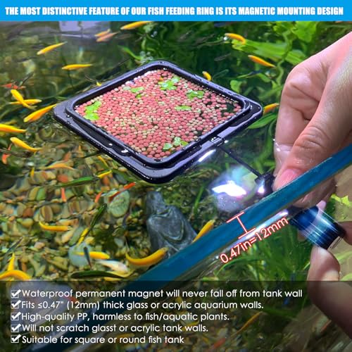 Magnetic Fish Feeding Ring, Floating Aquarium Feeder Ring for Fish Tank，Betta Feeding Ring for Goldfish, Guppy, Fresh/Saltwater Tanks- Prevents Food Scattering and Anti-Falling Off（Patented Product）