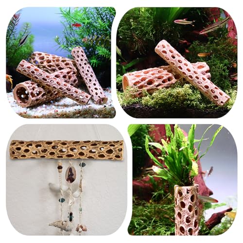 6“ Resin Cholla Wood Aquarium Décor Wood- Realistic Shrimp Hideout & Climbing Toy (6" L×2”Dia, 3pcs)