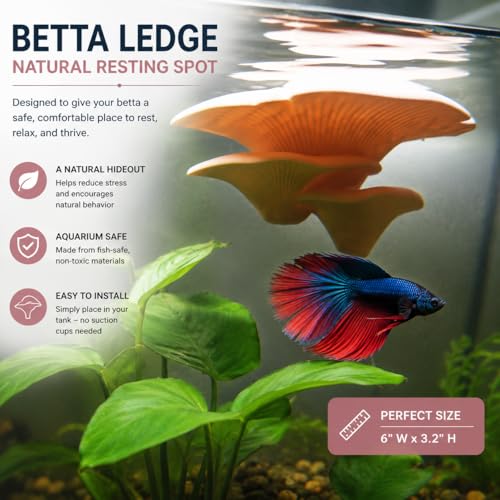Aquarium Mushroom Hammock for Betta Resting, Aquarium Hideout Shelf with 2 Strong Suction Cups, Natural Betta Hammock & Resting Spot, Fish Safe Decor for Betta Tanks