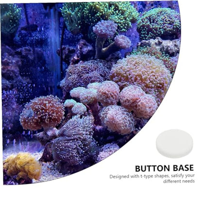 10pcs Fish Tank Coral Base Coral Mount Gel Gasket Stand Cave Heater Cobble Pad Goldfish White Serving Tray Fish Tank Siphon Plant Tanks Plug Aquarium Breeding Bases Ceramics