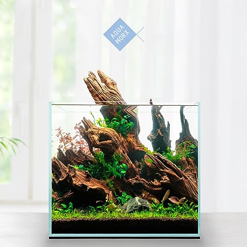 2 Gallon Clear Glass Cube Rimless Tank - Space Saving Aquarium - 7.87 x 7.87 x 7.87 inches