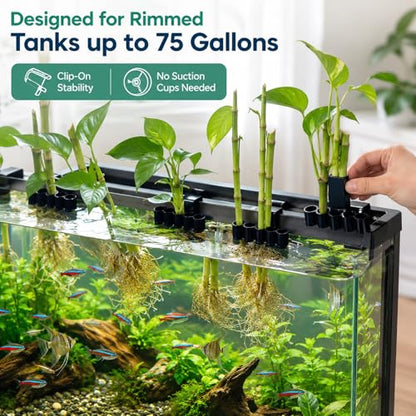 4-Pack Aquarium Plant Holder/Bamboo, Flexible Fish Tank Plant Holder for Rimmed Tanks up to 75 Gallon, Pothos & Bamboo Clips with 5 Slots for Plants Aquaponics