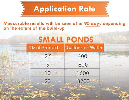 Pondworx Pond Bacteria - Formulated for Water Features and Safe for Koi (4 Gallon Value Pack) - size: 4 Gallon Value Pack