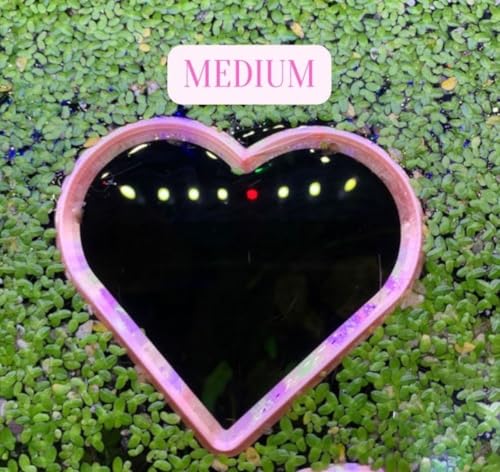 Heart Shaped Aquarium Feeding Ring, Floating Fish Feeding Ring for Fish Tank, Aquatic Plant Feeding Frame, Betta Shrimp Feeding Station, Cute Heart Aquarium Accessory Decor (Medium) - size: Medium