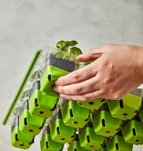 Burpee SuperSeed Starting Tray | 16 XL Cell | Reusable & Dishwasher Safe | for Vegetable, Flower & Herb Seeds | Indoor Grow Kit for Deep-Rooted Seedlings, Green - size: 16 Cells