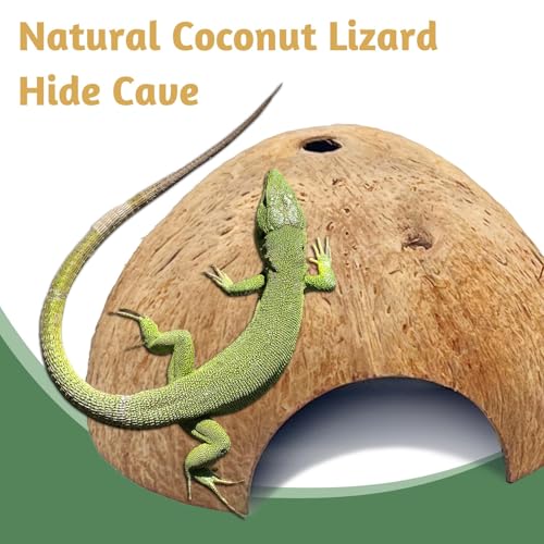 6 PCS Natural Coconut Reptile Hideouts Lizard Coco Hut Hermit Crab Hut Aquarium Fish Hide Cave Spider Snail Climber Toys - size: 6 PCS Smooth Surface