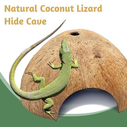 6 PCS Natural Coconut Reptile Hideouts Lizard Coco Hut Hermit Crab Hut Aquarium Fish Hide Cave Spider Snail Climber Toys - size: 6 PCS Smooth Surface
