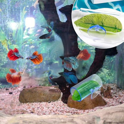 Betta Fish Tunnel Toys,Acrylic Hollow Betta Fish Hideout Tube Hollow Design for Small Fish Shrimp Betta Guppies