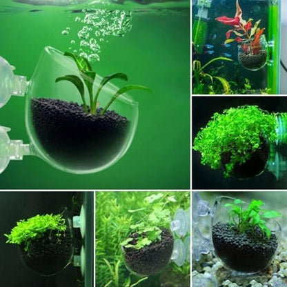 4 Pcs Aquarium Plant Pot Planter, Glass Fish Tank Plants Holder, Aquarium Decoration Plant Cup with Suction Cups for Fishes Tank Ornament Aquarium Décor Plastic Plants Fish and Aquatic Pets